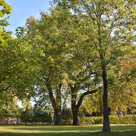 Ehemaliges Pfarrhaus Alt Teterin Appartement