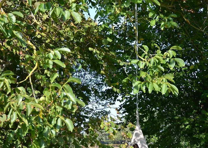 Ehemaliges Pfarrhaus Alt Teterin Апартаменты Butzow (Vorpommern-Greifswald)