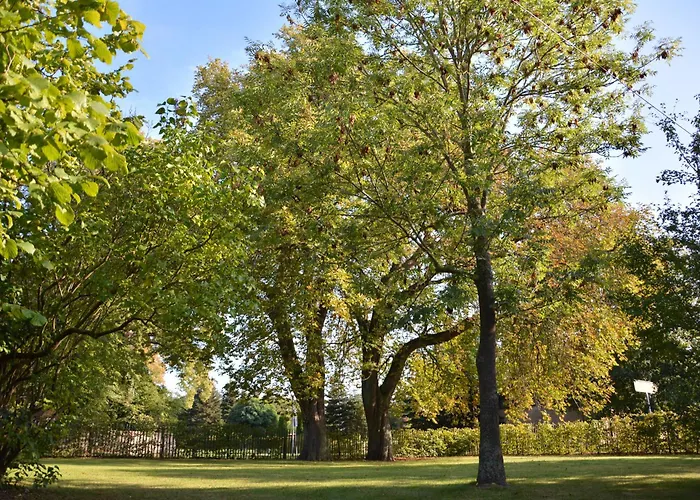 Ehemaliges Pfarrhaus Alt Teterin Апартаменты